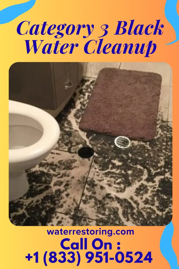 Category 3 Black Water Cleanup in Wood River, IL